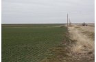 Property photo 13 - Kansas Land Auction - 960 Acres - 7 Farms in 3 Counties